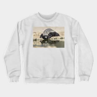 Resting Honey Badger (C019/4317) Crewneck Sweatshirt